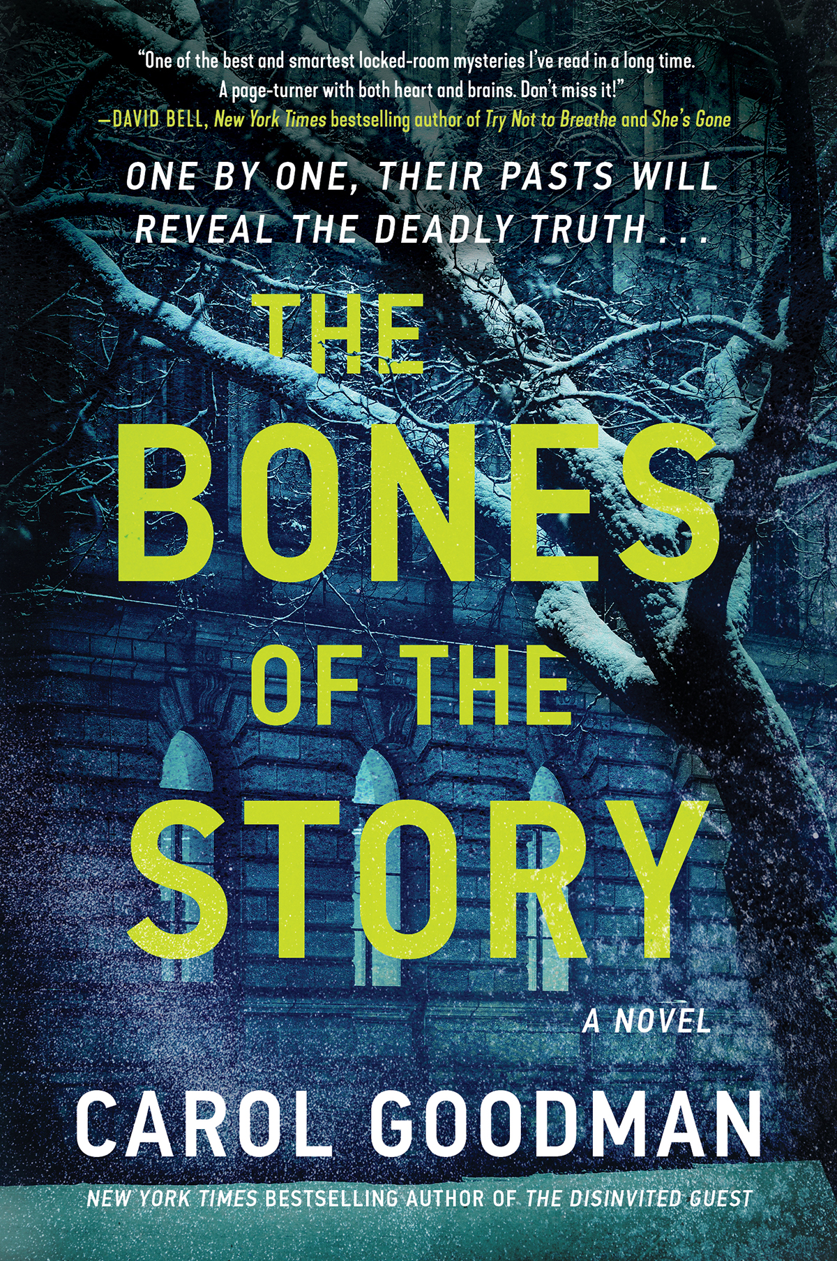 The Bones Of The Story Carol Goodman