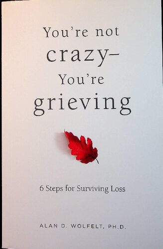 Youre Not Crazy Youre Are Grieving 6 Steps For Surviving Loss Scanned 1st Edition Alan D Wolfelt