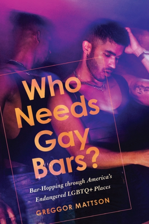Who Needs Gay Bars Barhopping Through Americas Endangered Lgbtq Places 1st Edition Greggor Mattson
