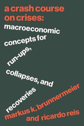 A Crash Course On Crises Macroeconomic Concepts For Runups Collapses And Recoveries Markus K Brunnermeier Ricardo Reis