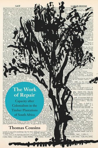 The Work Of Repair Capacity After Colonialism In The Timber Plantations Of South Africa Thomas Cousins