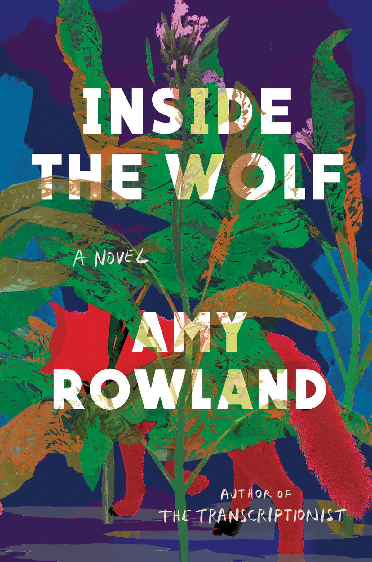 Inside The Wolf Amy Rowland