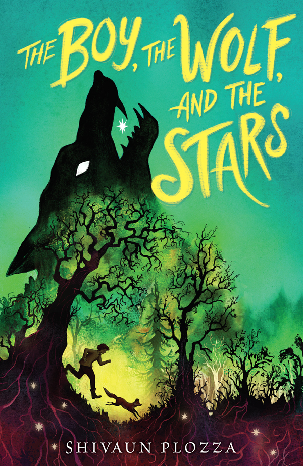The Boy The Wolf And The Stars Shivaun Plozza