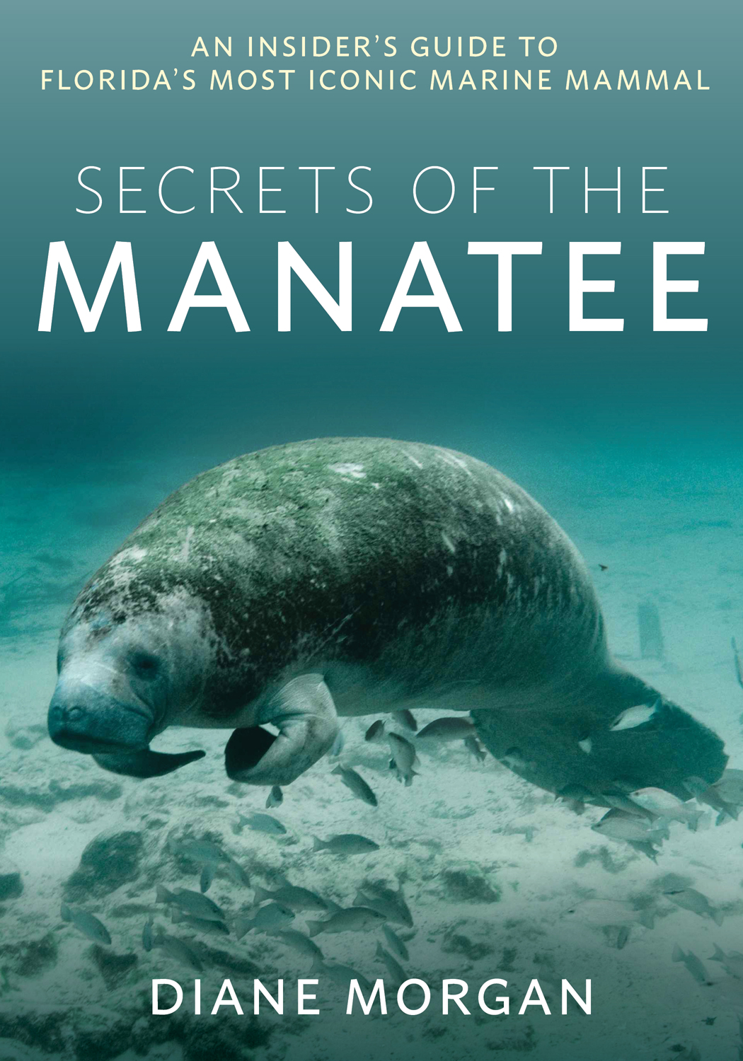 Secrets Of The Manatee Diane Morgan