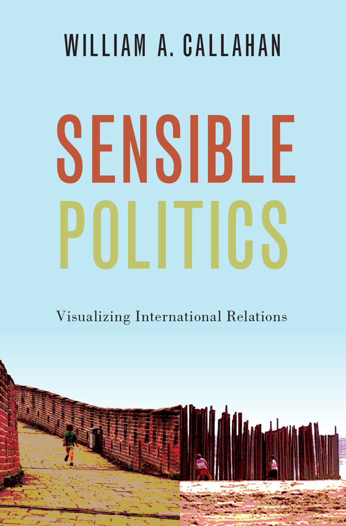 Sensible Politics William A Callahan