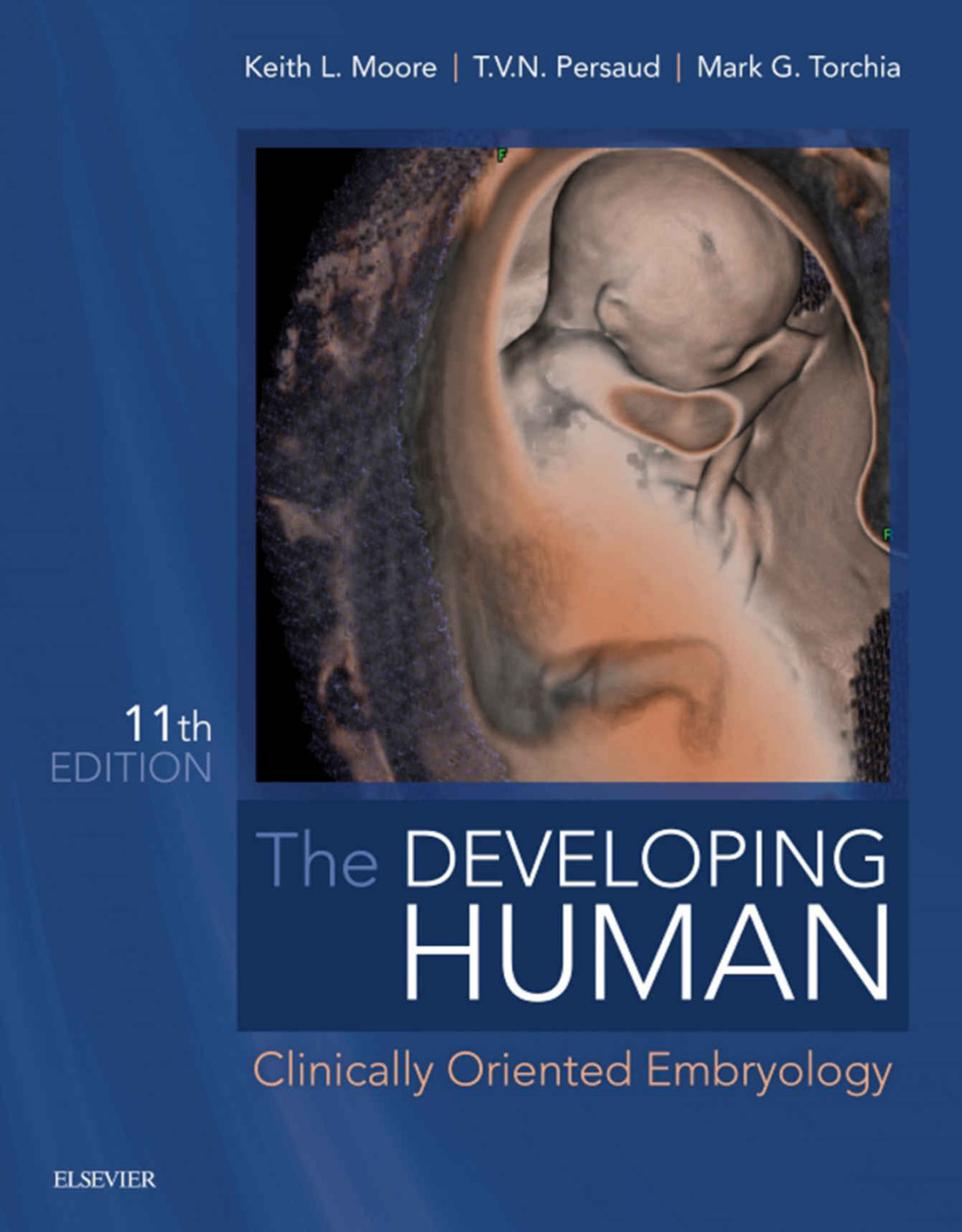 The Developing Human Ebook Keith L Moore T V N Persaud Mark G Torchia