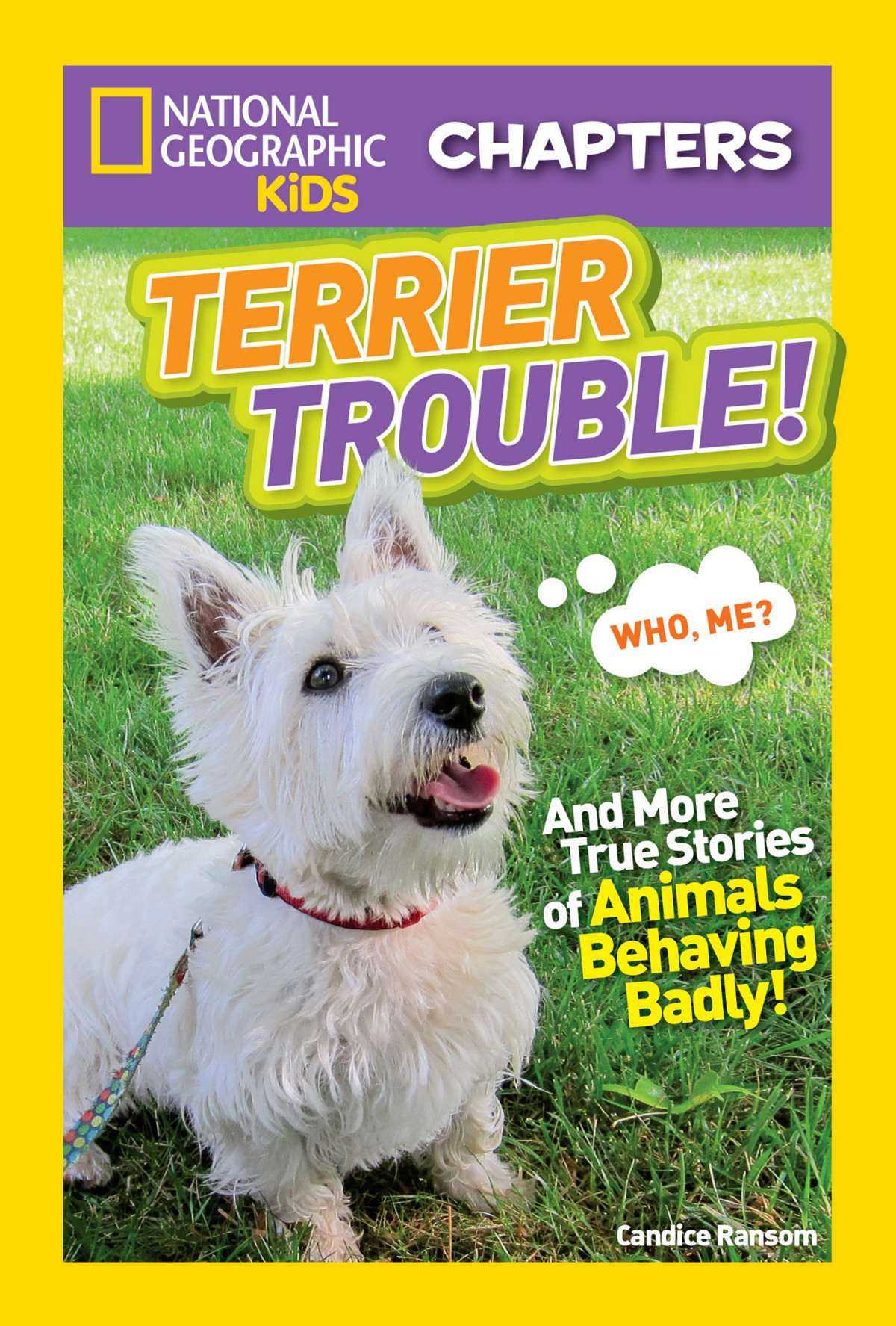 Terrible Terrier Candice Ransom