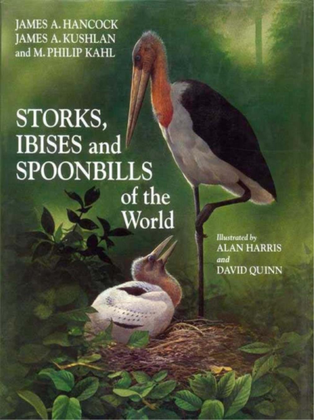 Storks Ibises And Spoonbills Of The World 1st Edition James Hancock