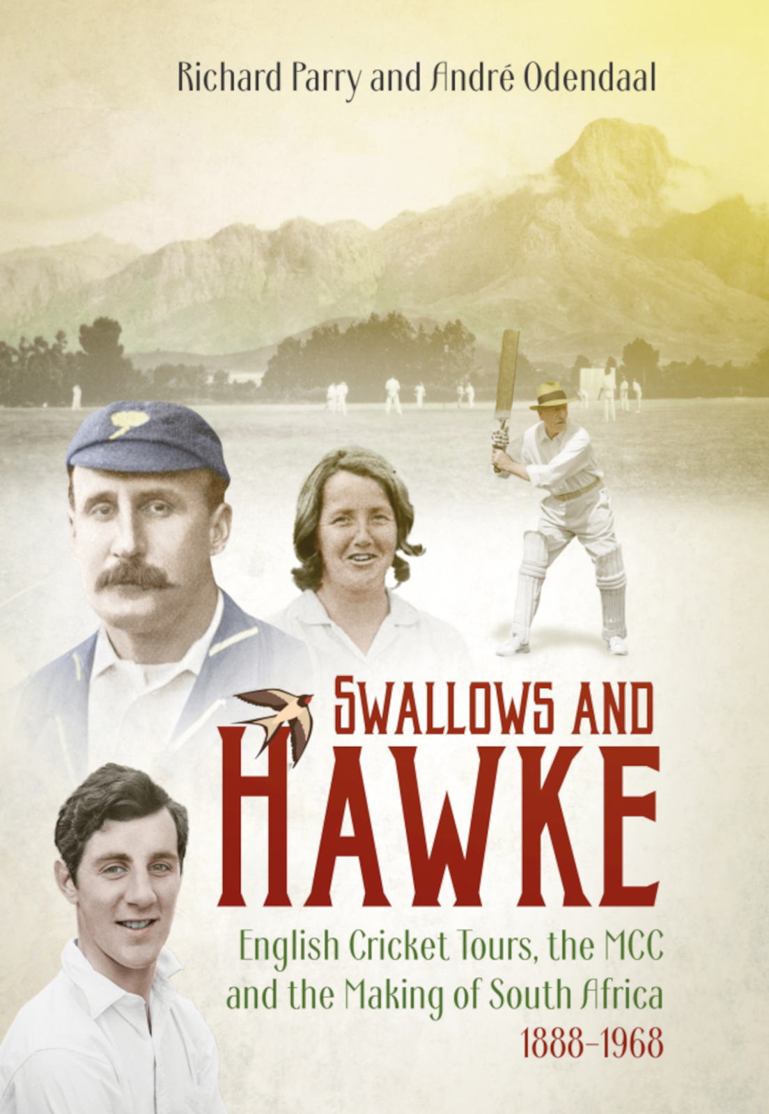 Swallows And Hawke Andre Odendaal