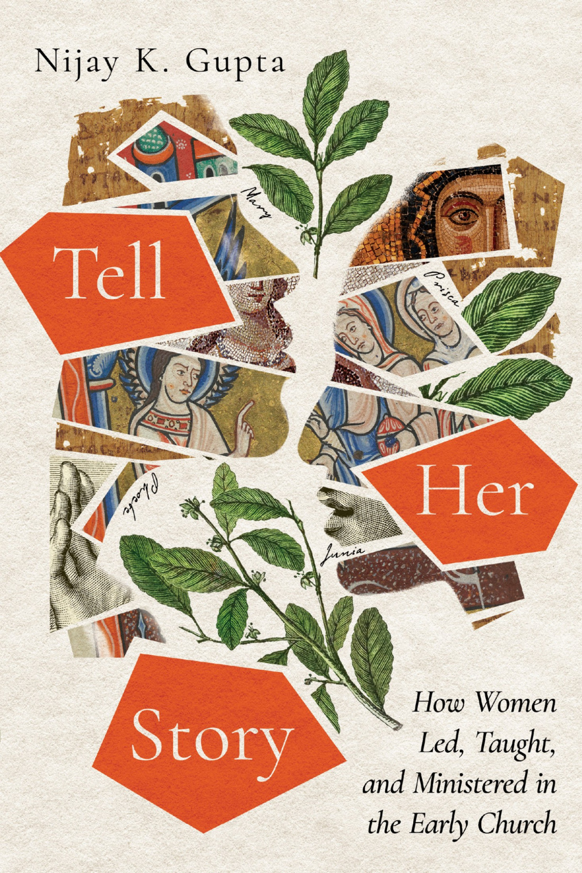 Tell Her Story Nijay K Gupta