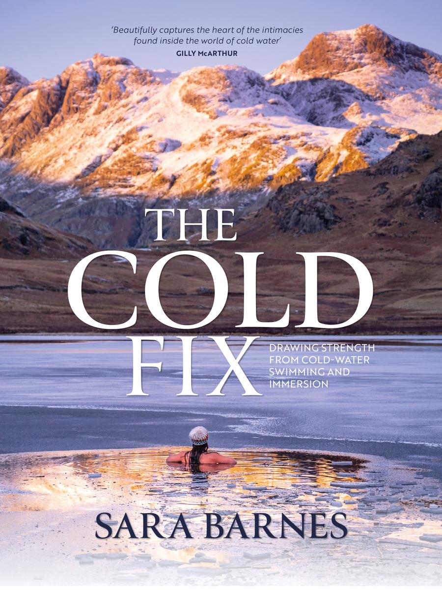 The Cold Fix Sara Barnes