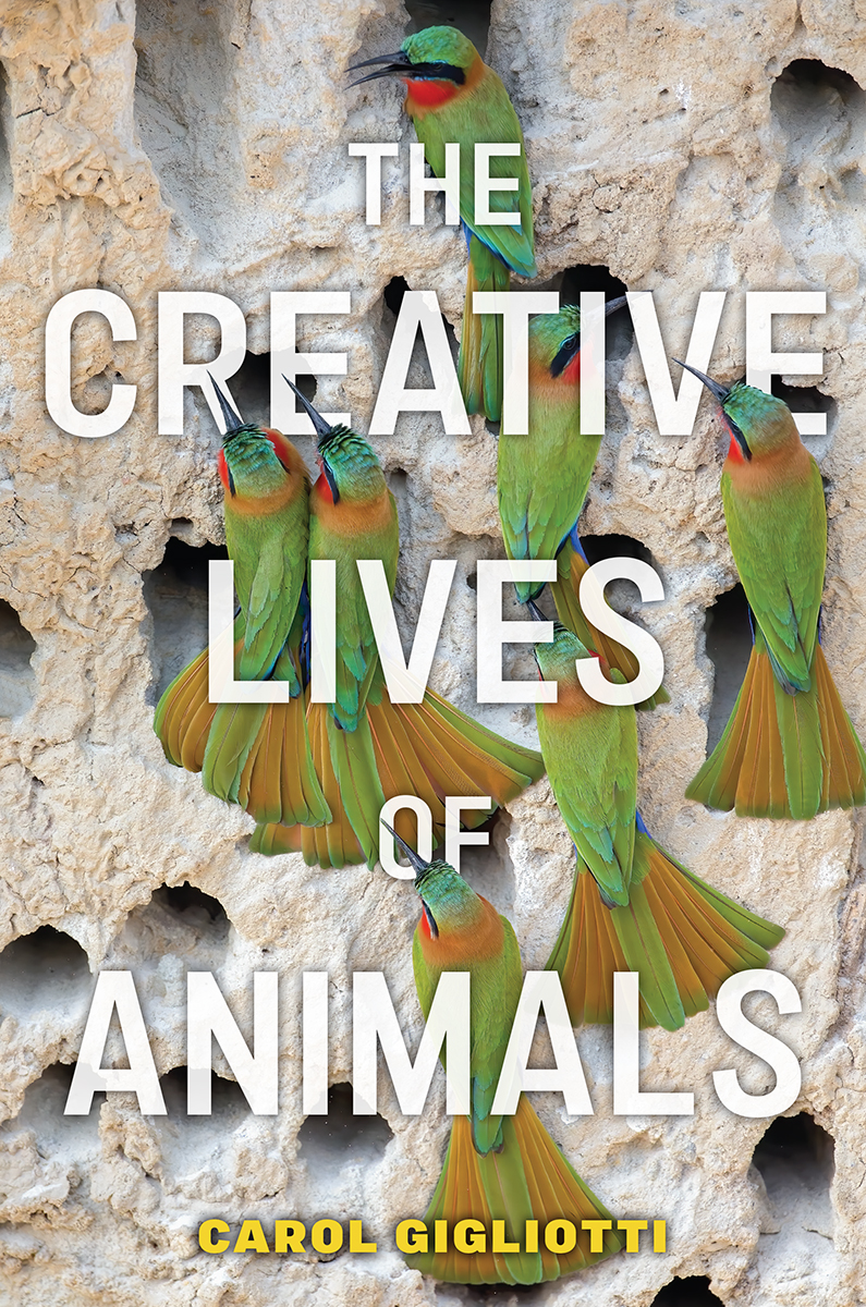 The Creative Lives Of Animals Carol Gigliotti
