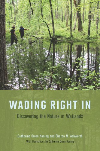 Wading Right In Discovering The Nature Of Wetlands First First Edition Catherine Owen Koning Sharon M Ashworth