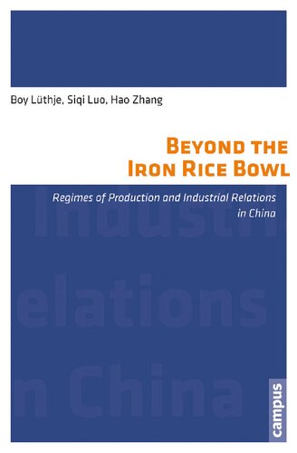 Beyond The Iron Rice Bowl Regimes Of Production And Industrial Relations In China Boy Lthje