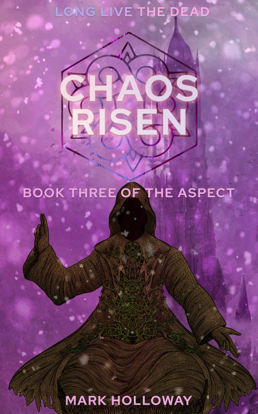 Chaos Risen First Edition Mark Holloway
