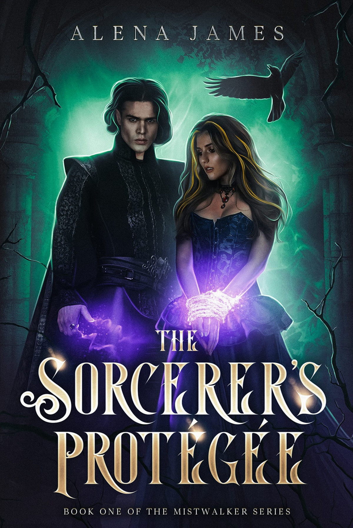 The Sorcerers Protge Alena James