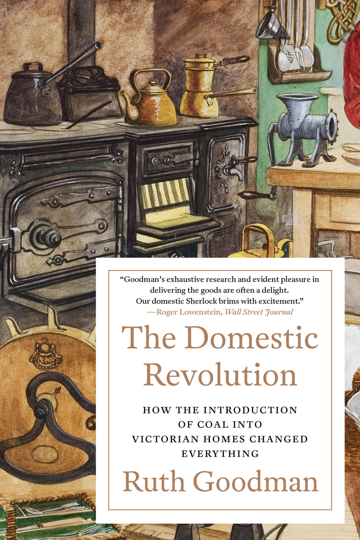 The Domestic Revolution How The Introduction Of Coal Into Victorian Homes Changed Everything Ruth Goodman