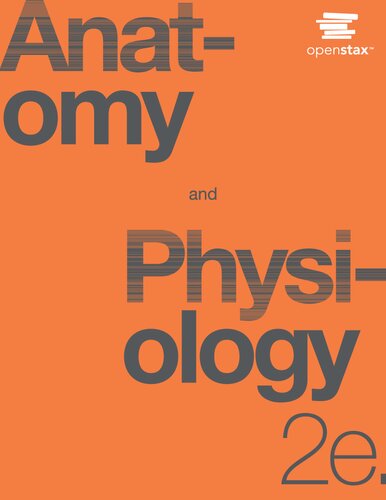 Anatomy Physiology 2023 Second Edition 2e 2nd Edition Openstax