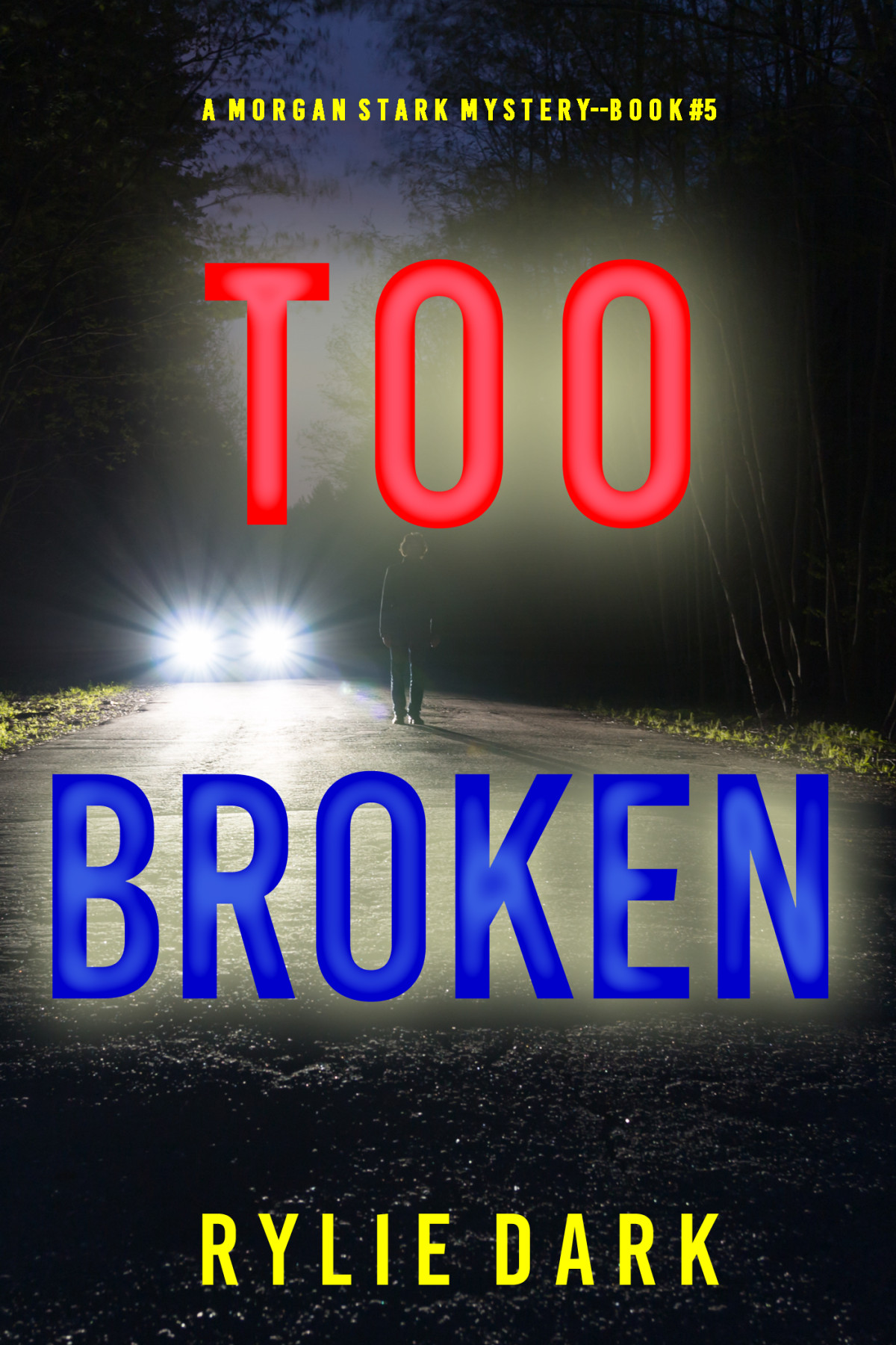 Too Broken Rylie Dark