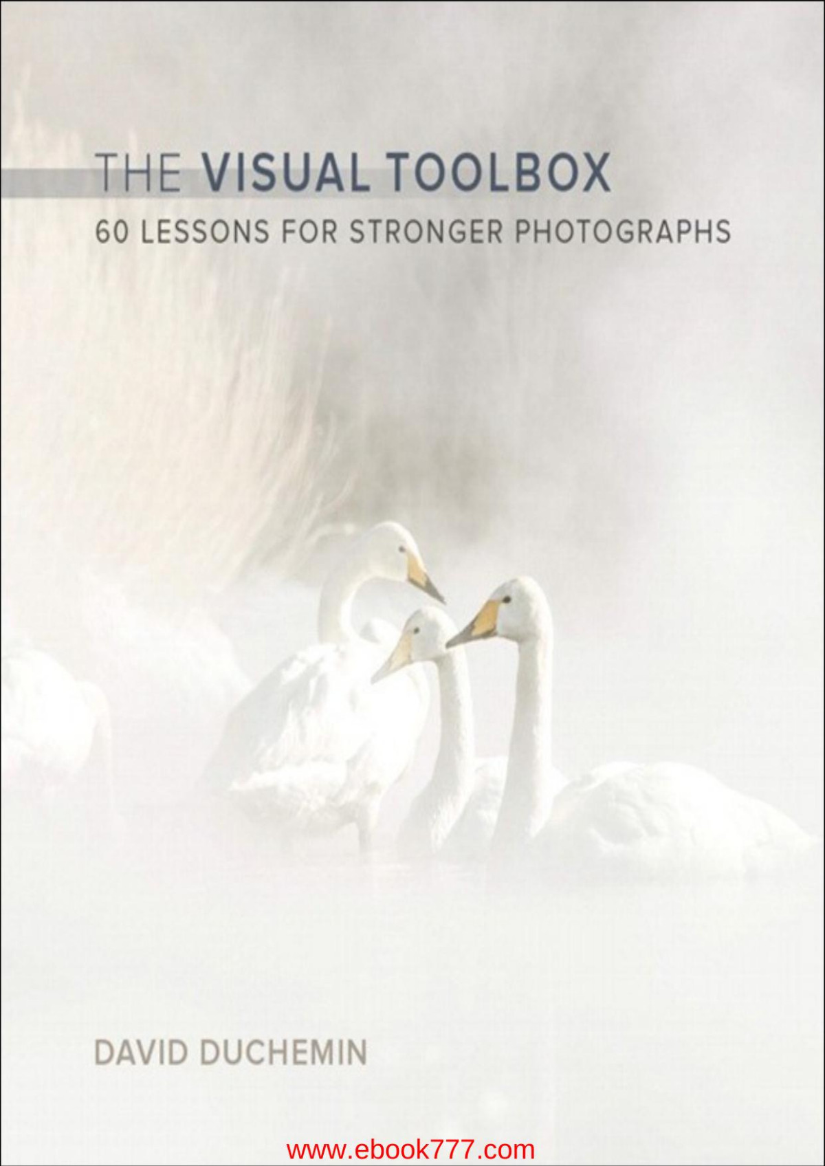The Visual Toolbox 60 Lessons For Stronger Photographs Voices That Matter David Duchemin