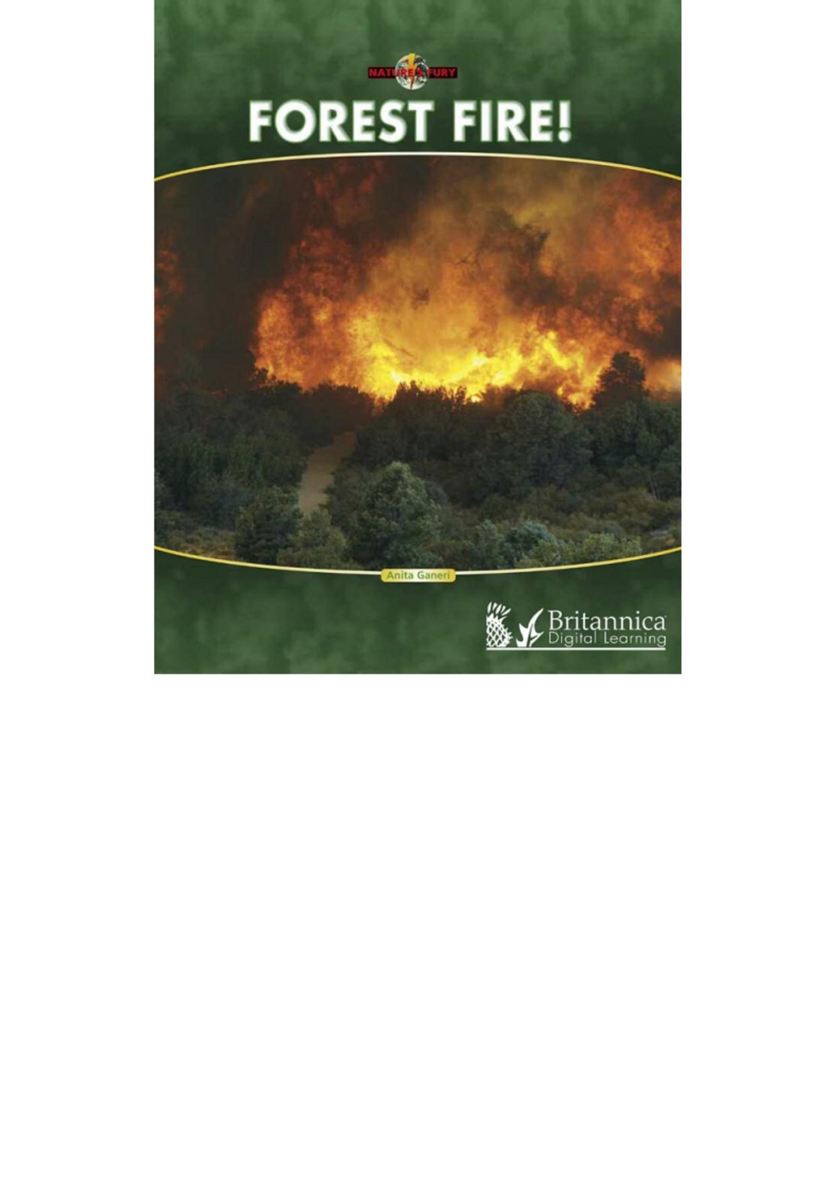 Forest Fire Anita Ganeri