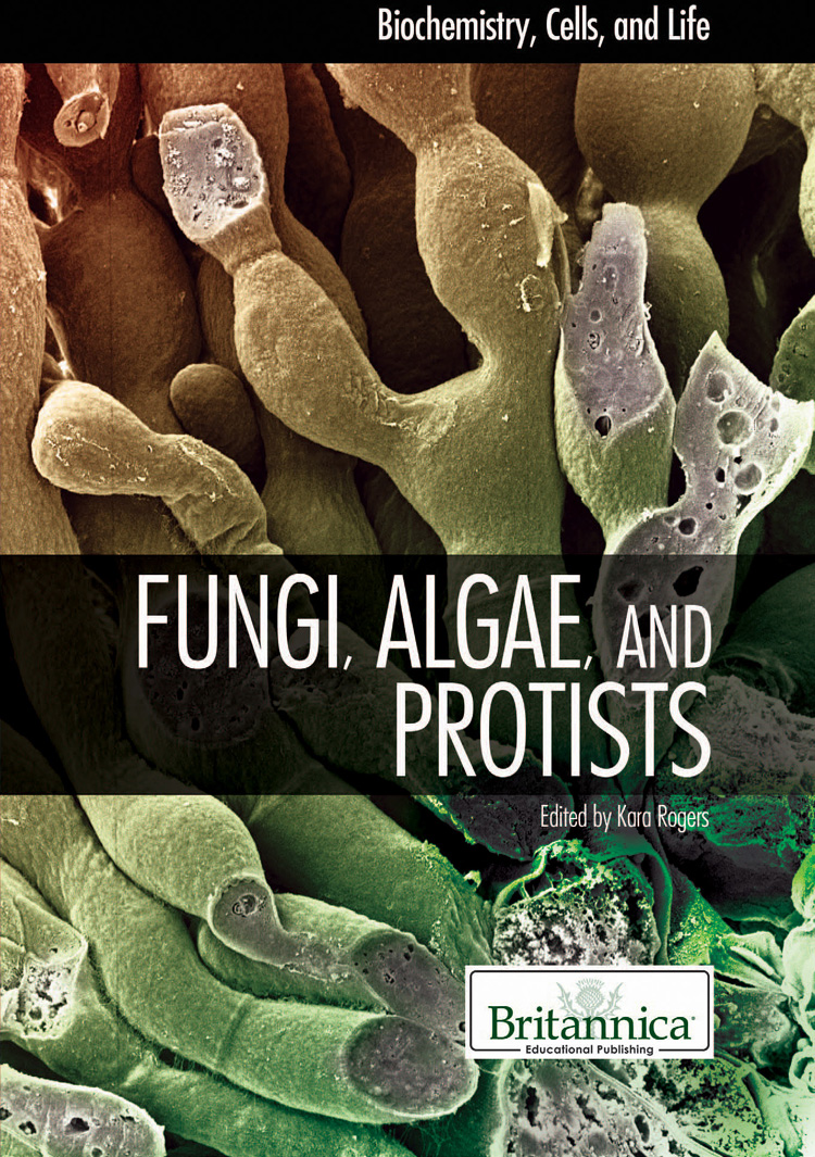 Fungi Algae And Protists Kara Rogers