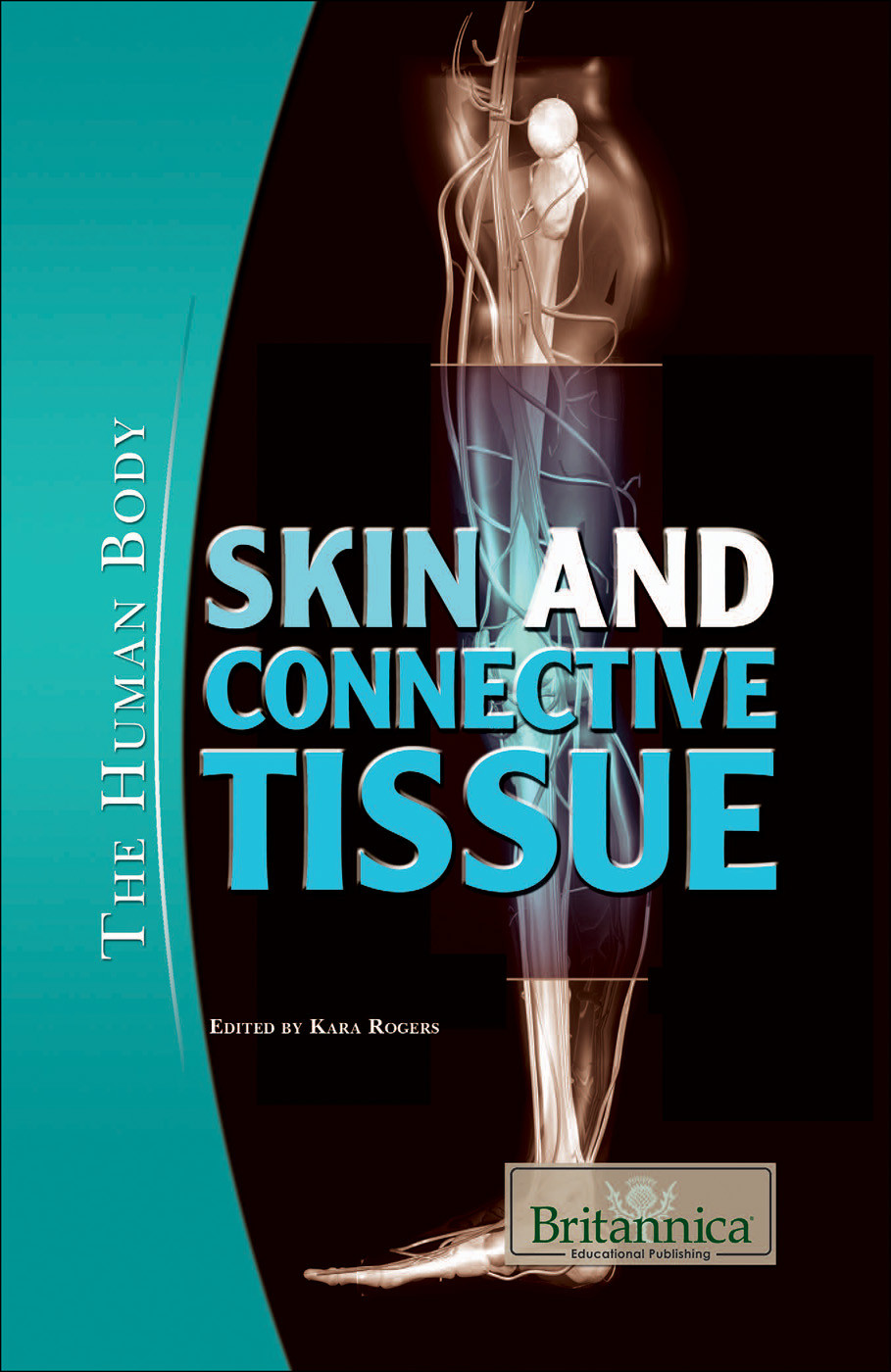 Skin And Connective Tissue Kara Rogers
