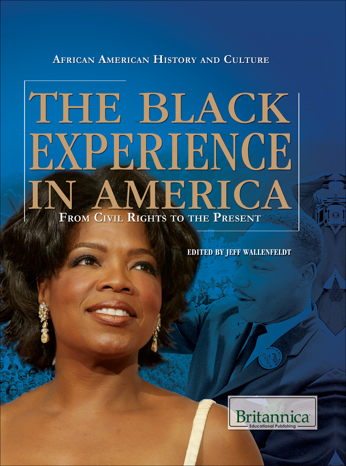 The Black Experience In America Jeff Wallenfeldt