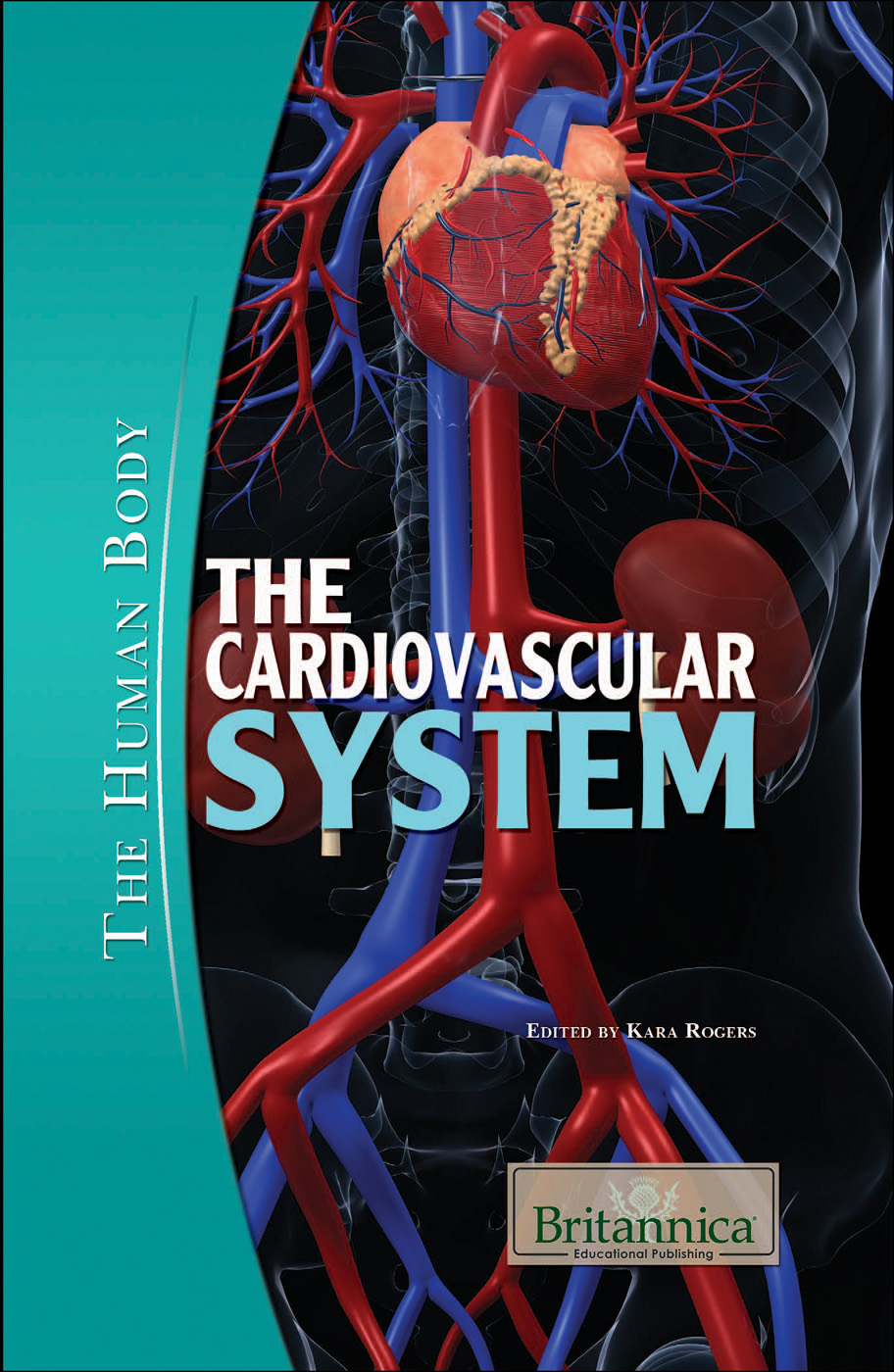 The Cardiovascular System Kara Rogers
