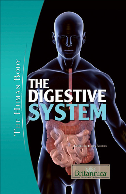 The Digestive System Kara Rogers