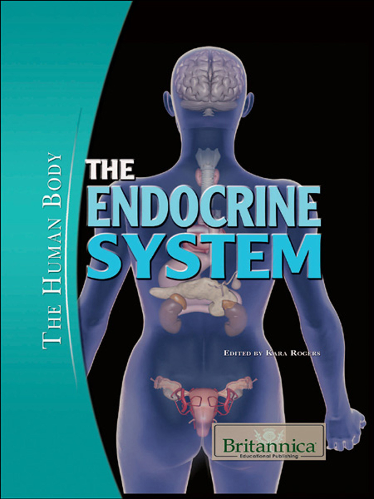 The Endocrine System Kara Rogers