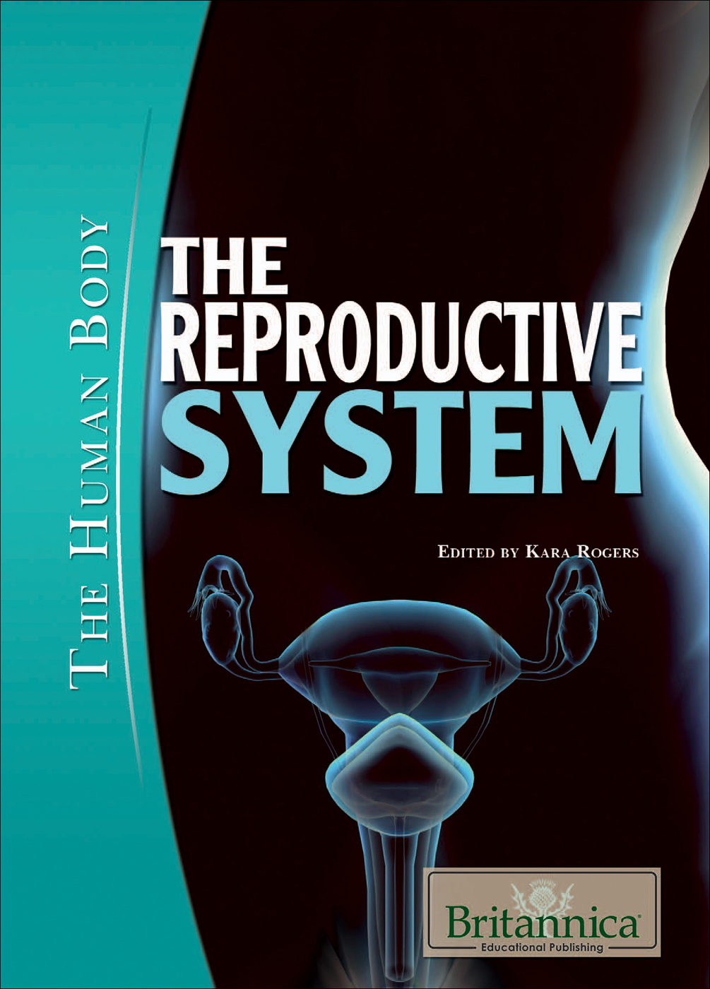 The Reproductive System Kara Rogers