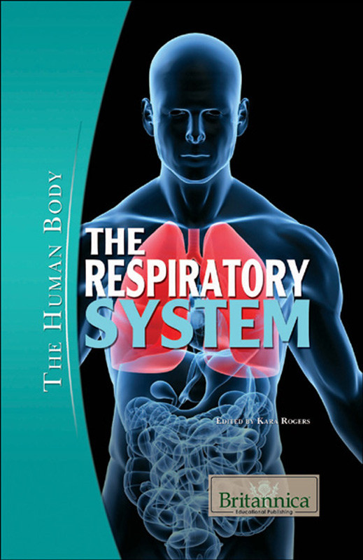 The Respiratory System Kara Rogers