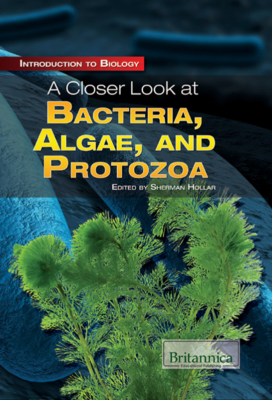 A Closer Look At Bacteria Algae And Protozoa Sherman Hollar