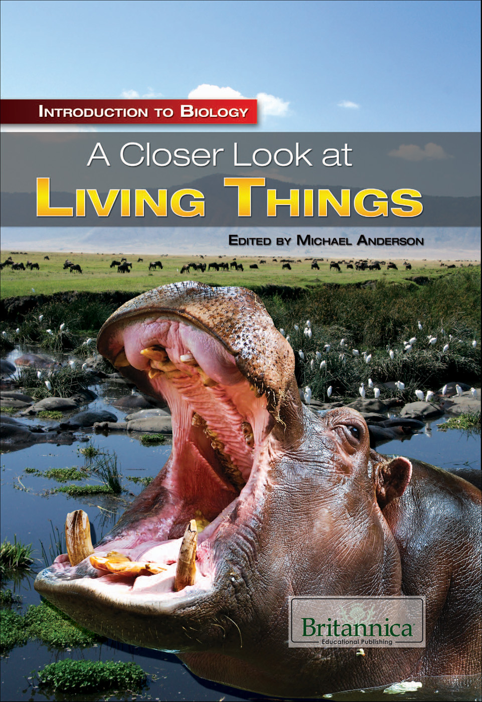 A Closer Look At Living Things Michael Anderson
