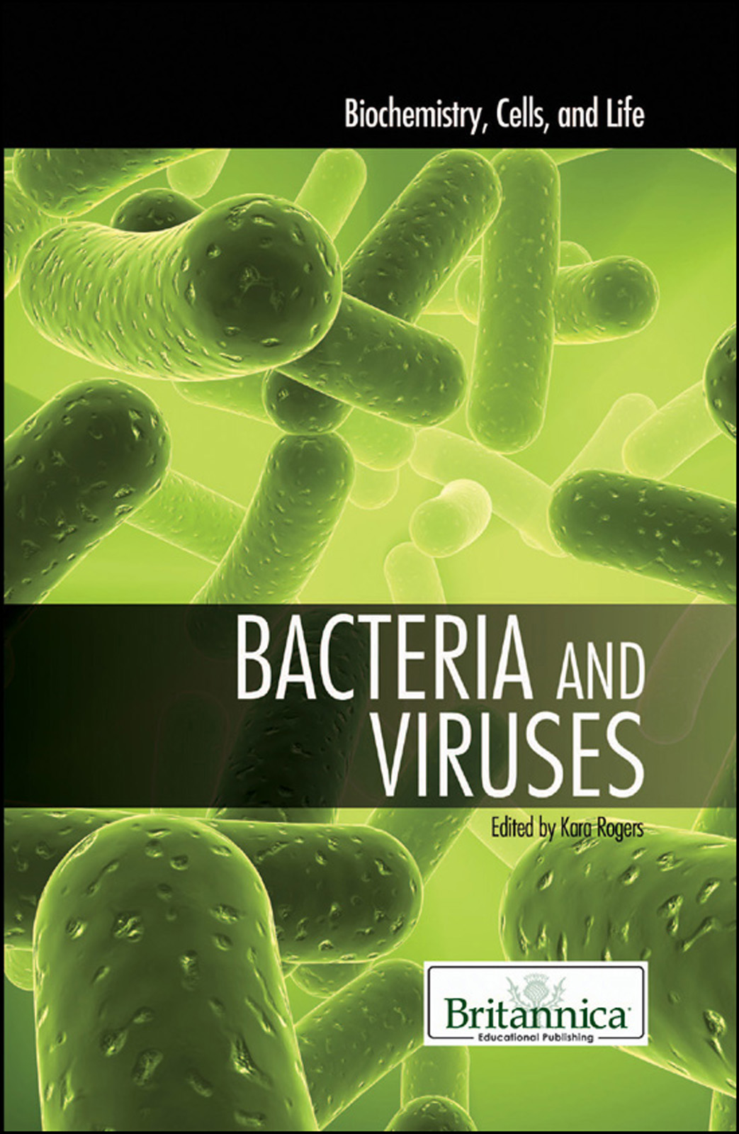 Bacteria And Viruses Kara Rogers