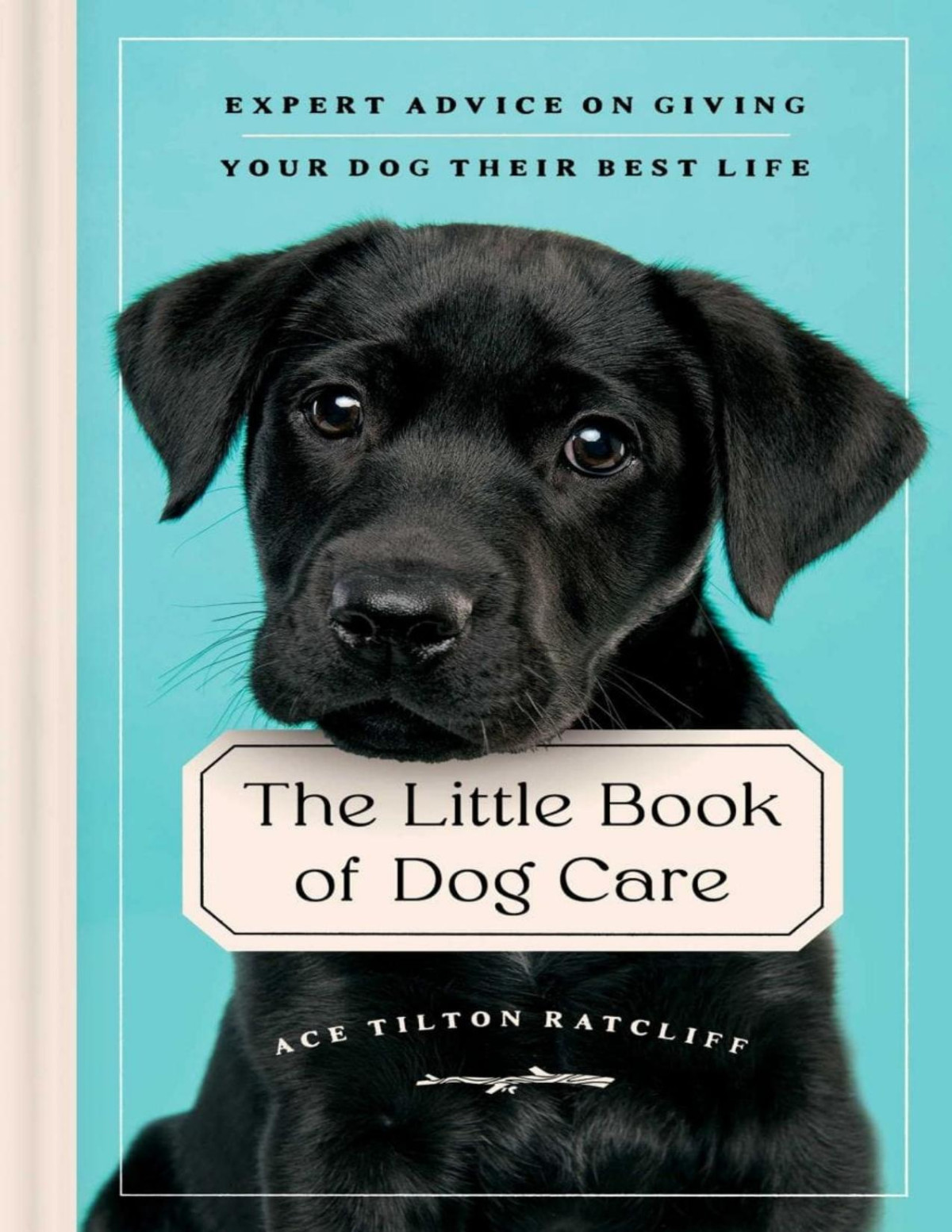 The Little Book Of Dog Care Expert Advice On Giving Your Dog Their Best Life Ace Tilton Ratcliff