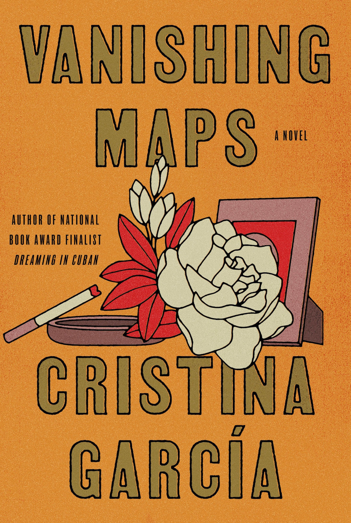 Vanishing Maps A Novel Cristina García