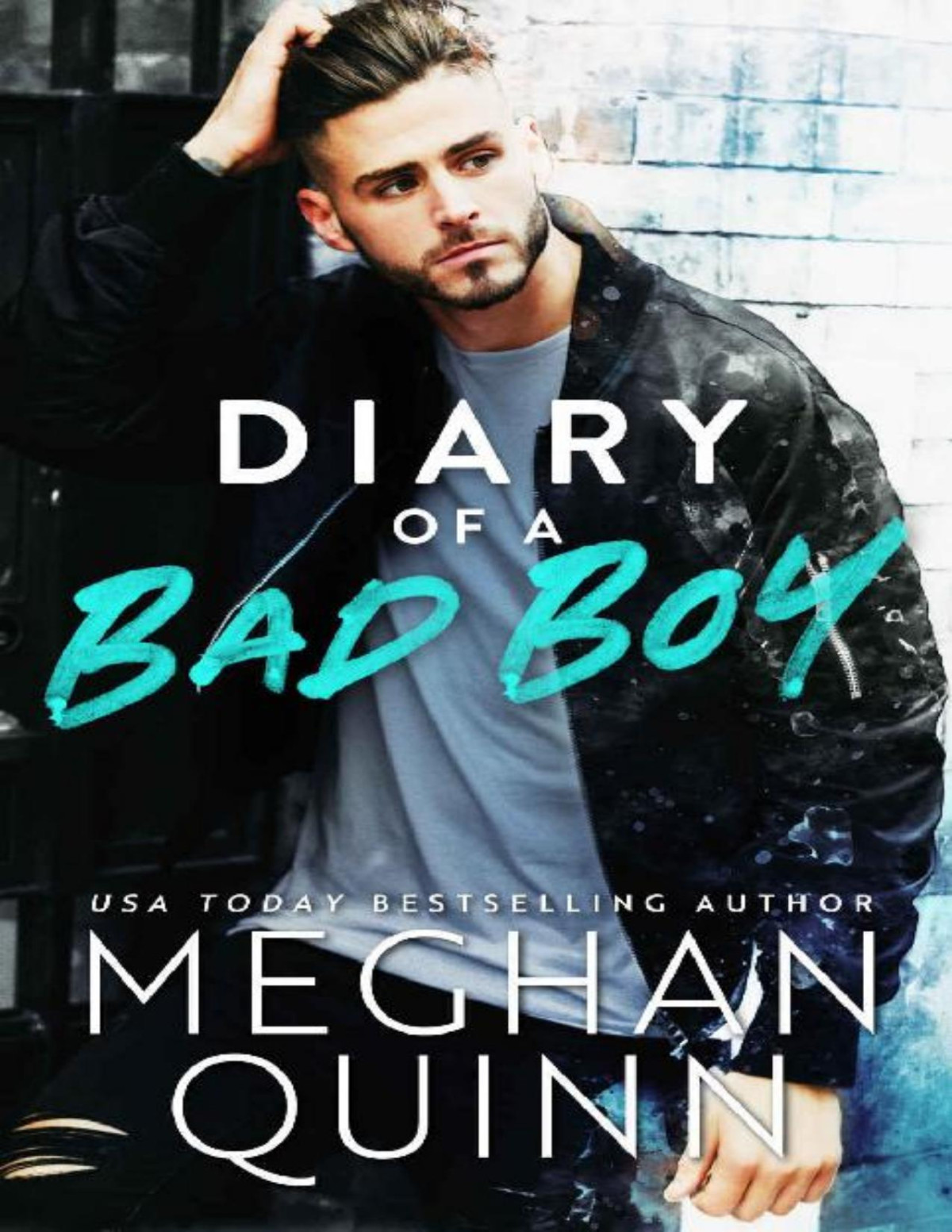 Diary Of A Bad Boy Meghan Quinn