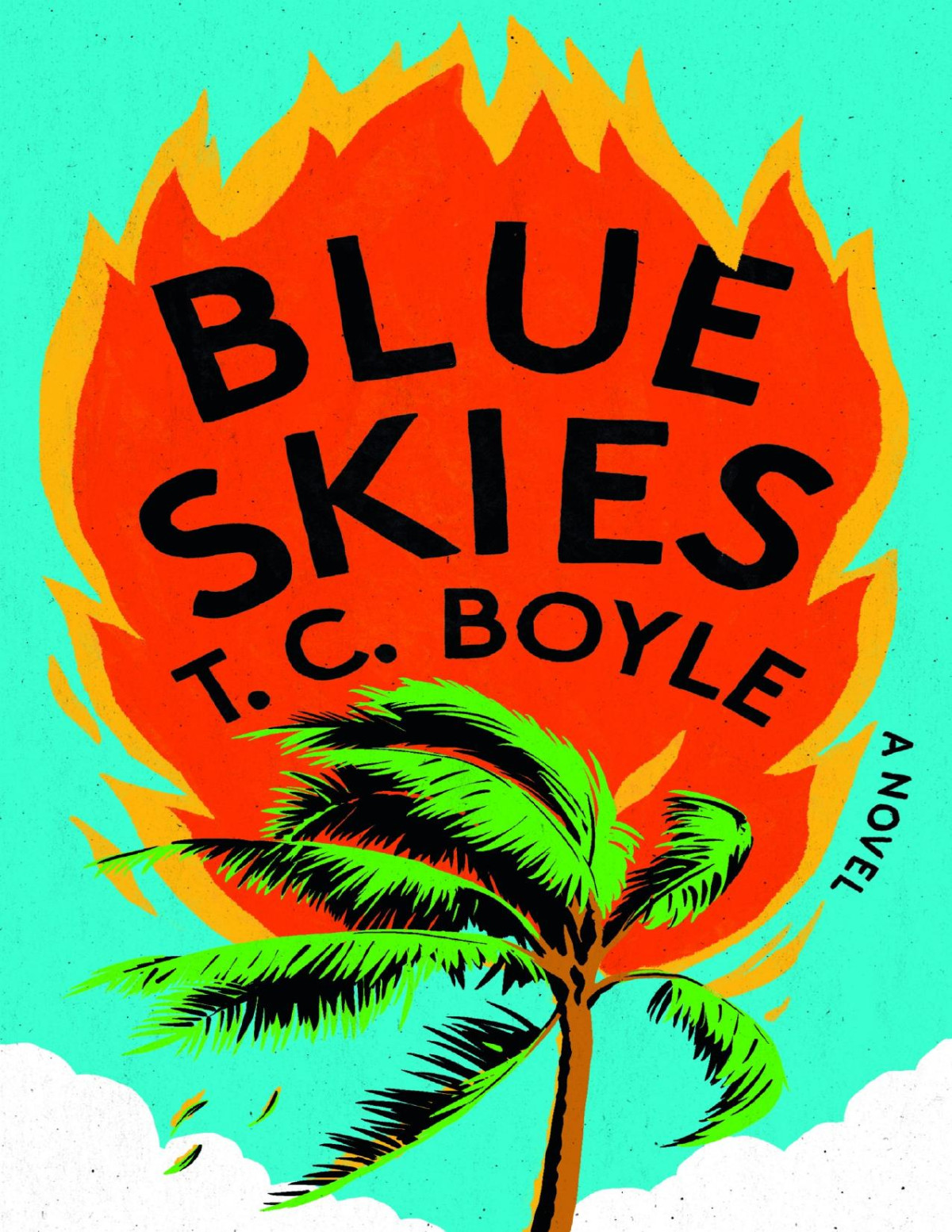 Blue Skies A Novel T C Boyle