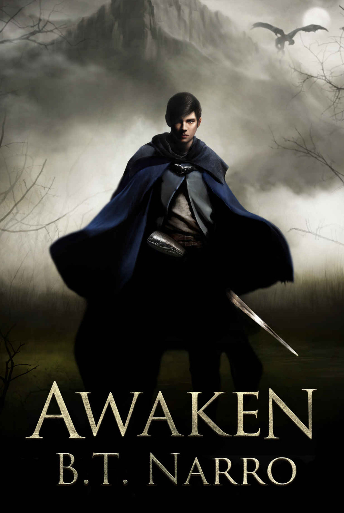 Awaken The Mortal Mage Book 1 Bt Narro