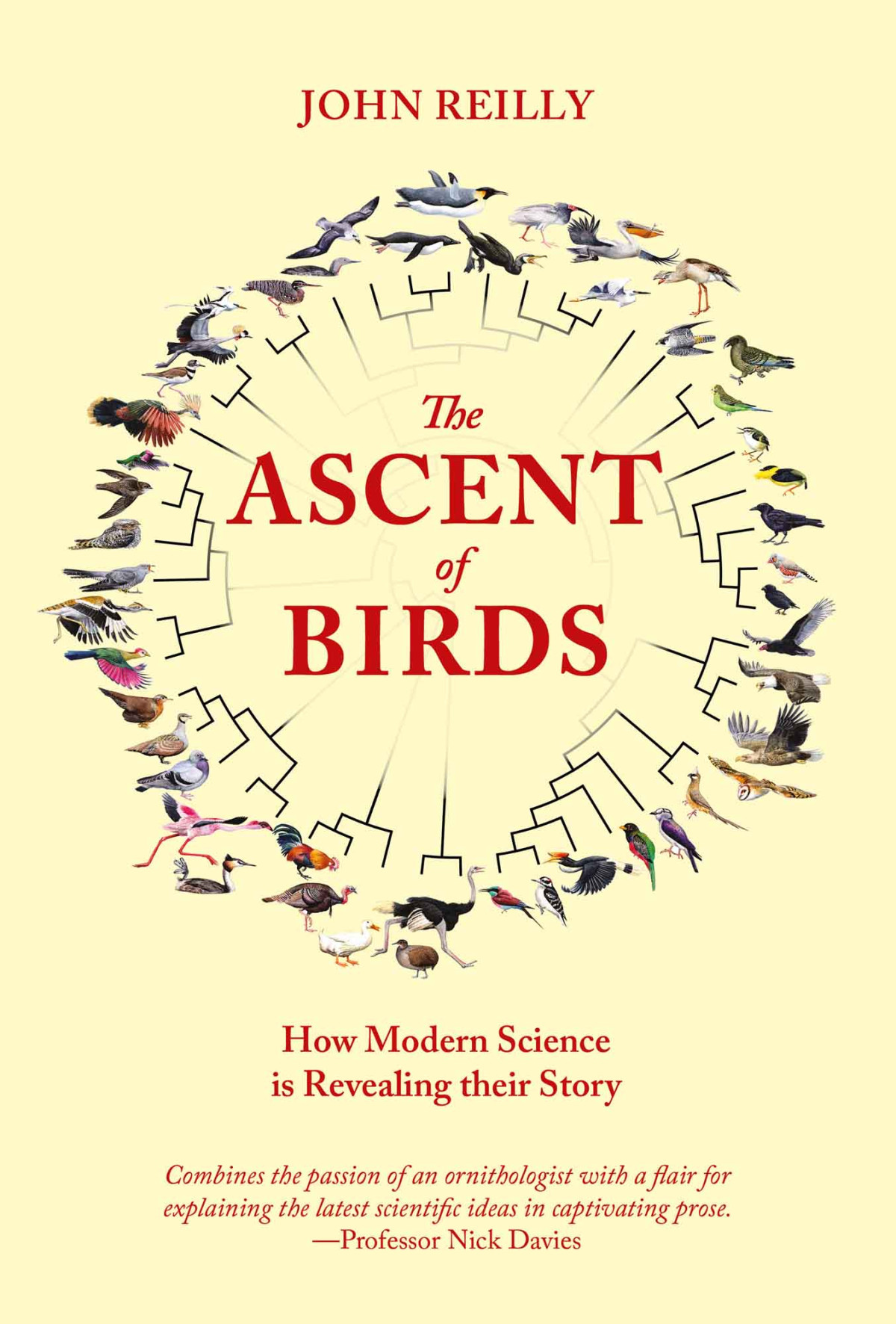 The Ascent Of Birds John Reilly