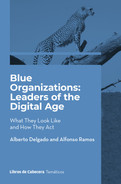 Blue Organizations Leaders Of The Digital Age What They Look Like And How They Act Alberto Delgado