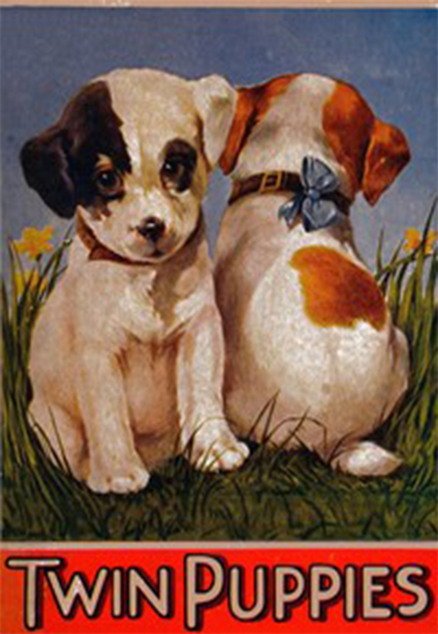 My Twin Puppies Edna Groff Deihl