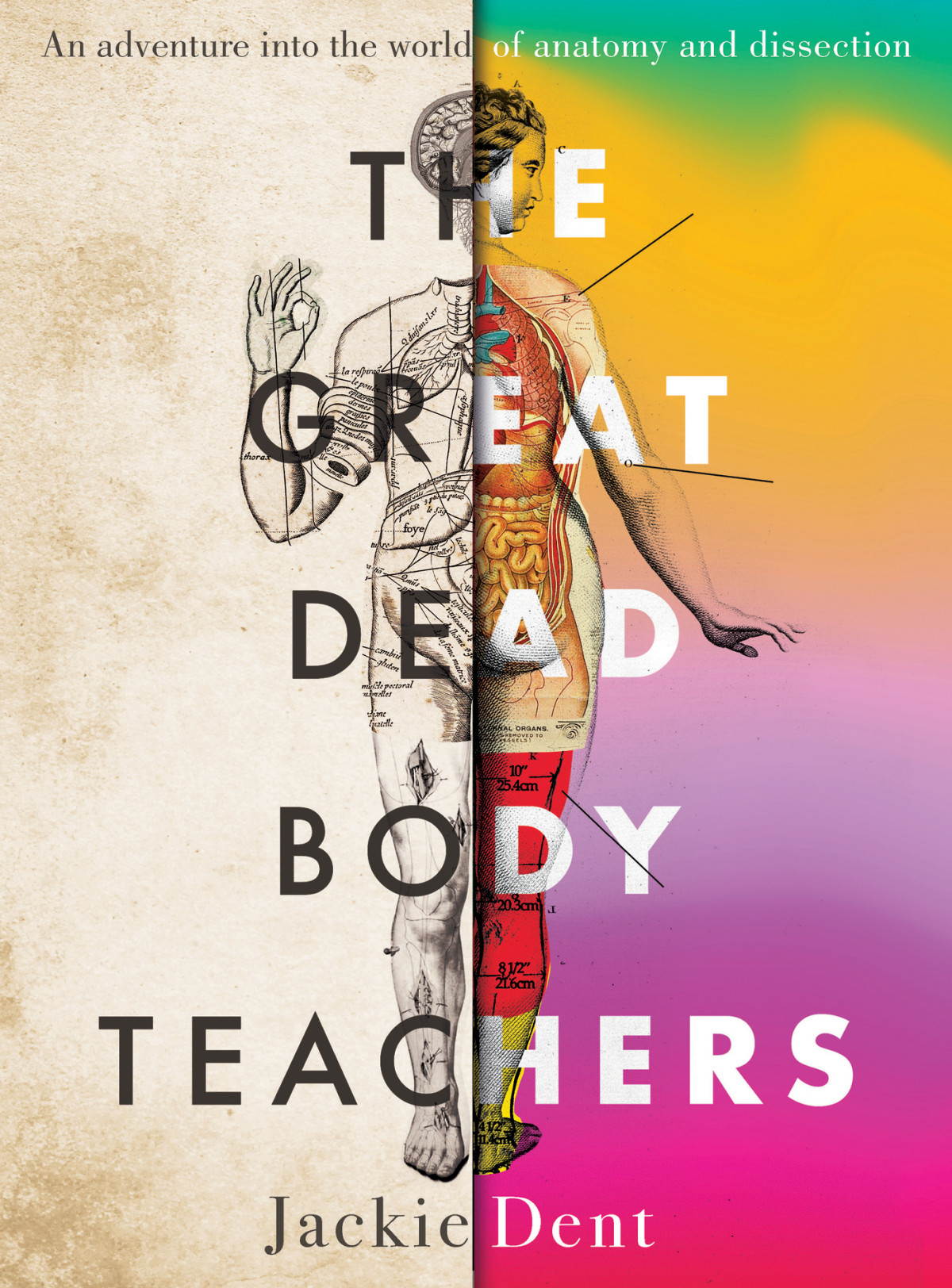 The Great Dead Body Teachers An Adventure Into The World Of Anatomy And Dissection Jackie Dent