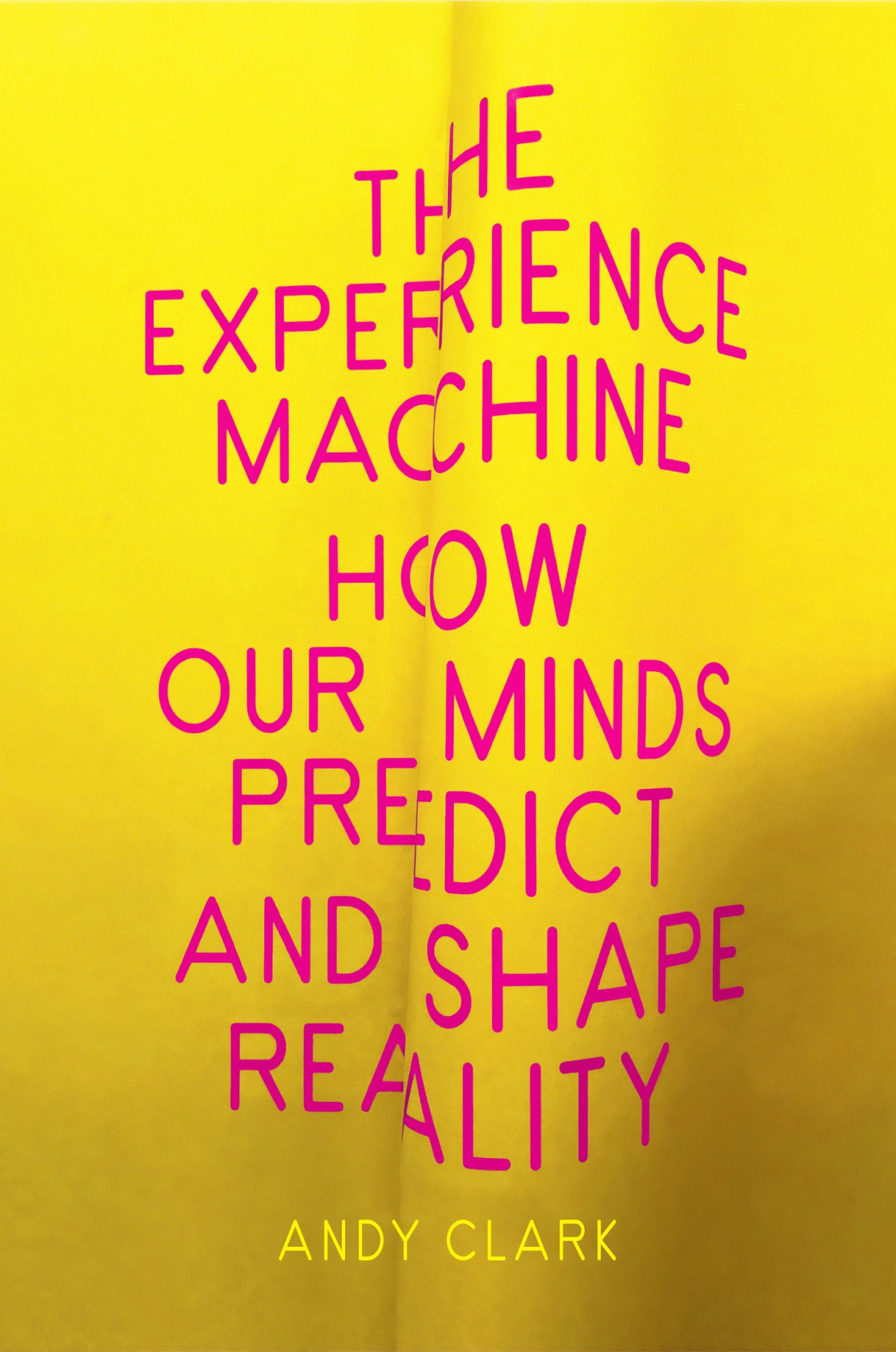 The Experience Machine Andy Clark