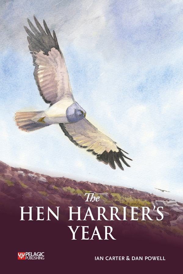 The Hen Harriers Year 1st Edition Ian Carter Dan Powell