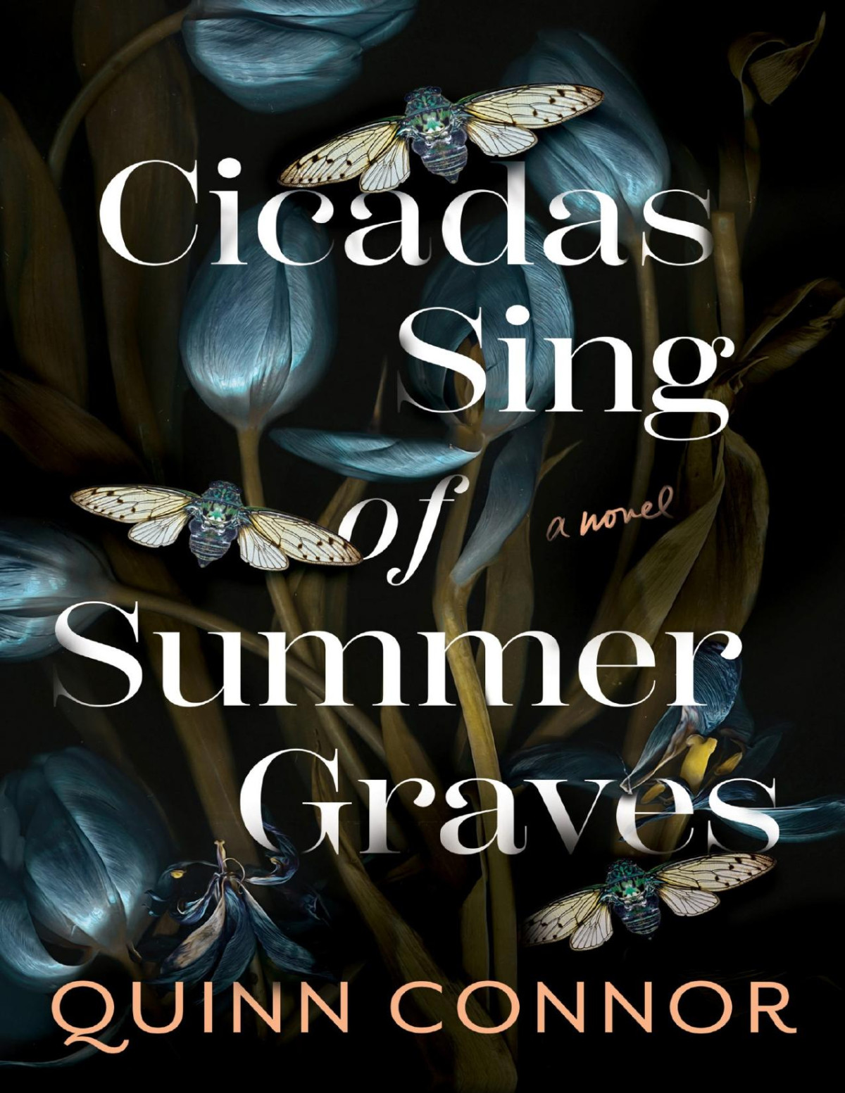 Cicadas Sing Of Summer Graves Quinn Connor