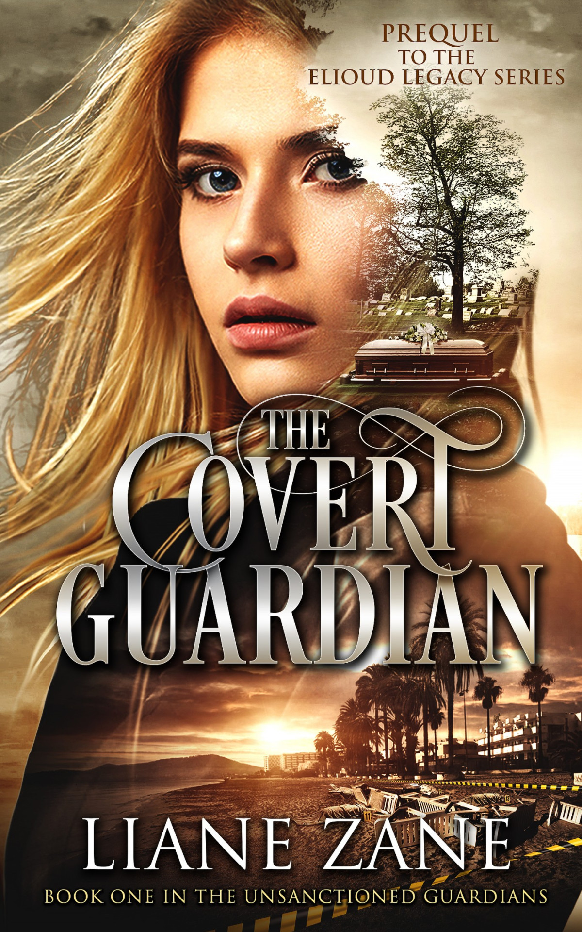 The Covert Guardian Liane Zane