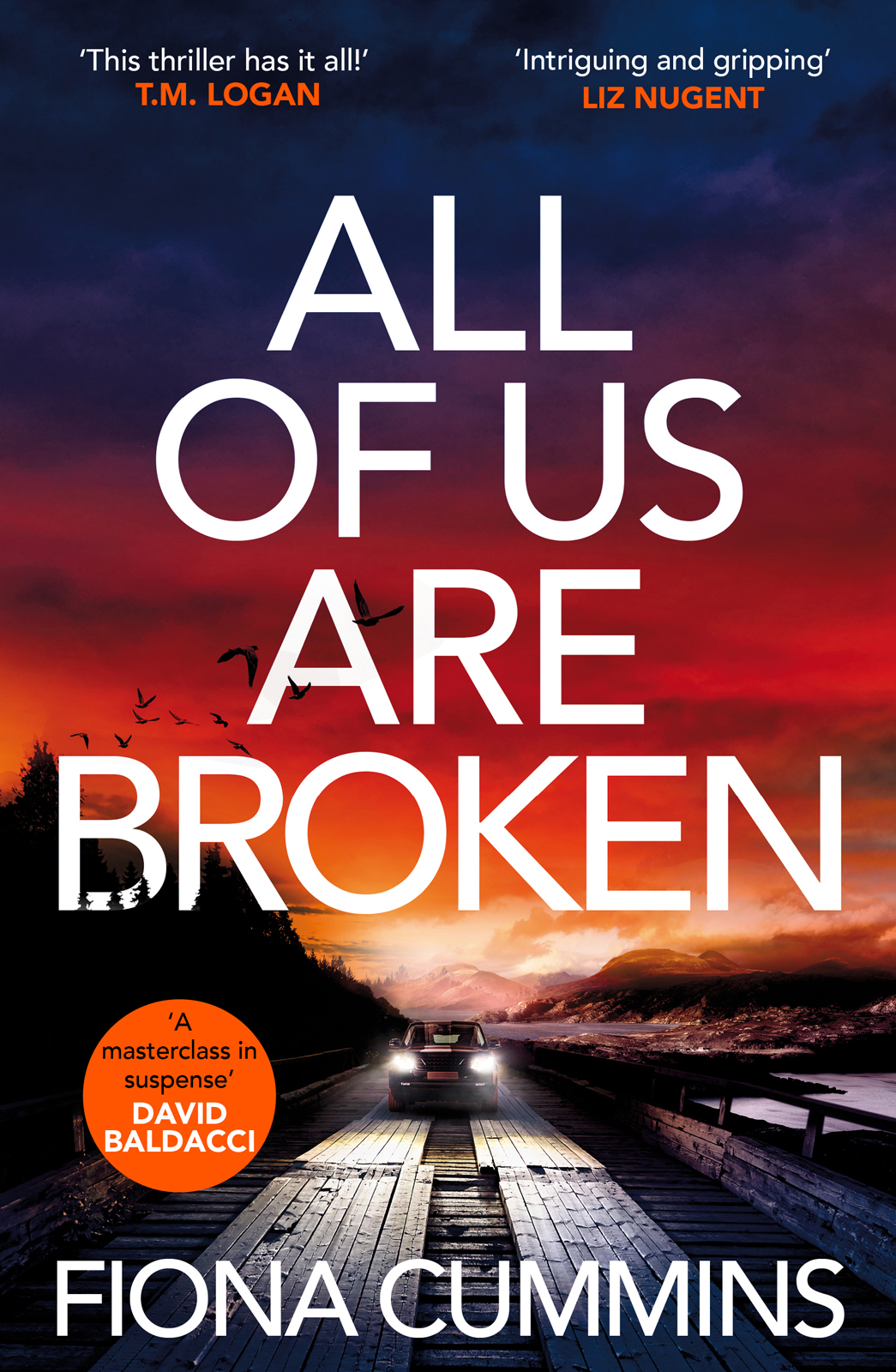 All Of Us Are Broken 1st Edition Fiona Cummins